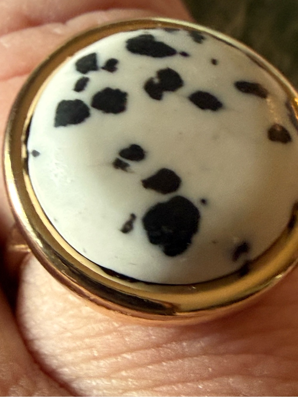 Gold-Tone Dalmatian Jasper Dome Ring - White & Black